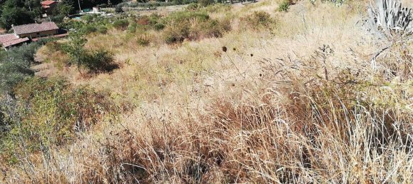 4000m² Land in Piana degli Albanesi, Italy No. 371180 10