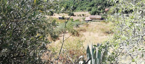 4000m² Land in Piana degli Albanesi, Italy No. 371180 6
