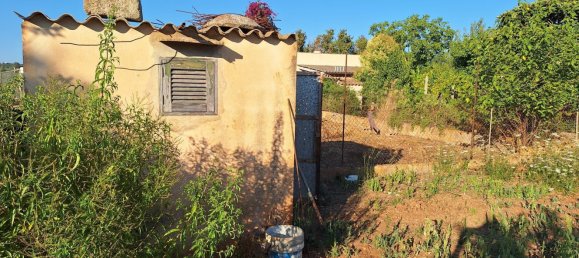  Land in Manacor, Spain No. 136659 2