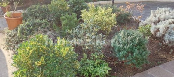 2 Schlafzimmer Wohnung in Riccione, Italy, Nr. 376532 24