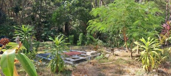 4 chambres house à vendre à Nicoya, Guanacaste, Costa Rica № 458 3