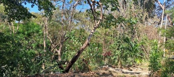 4 chambres house à vendre à Nicoya, Guanacaste, Costa Rica № 458 2