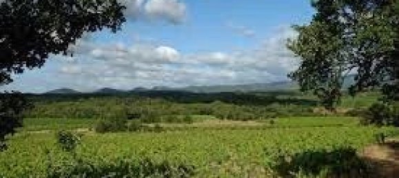  Commercial property in Faugeres, France No. 820 4