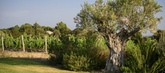  Commercial property in Faugeres, France No. 820 6