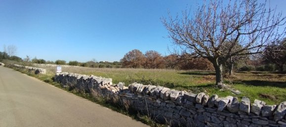 12700m² Land in Locorotondo, Italy No. 75695 2