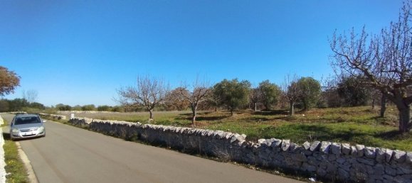 12700m² Land in Locorotondo, Italy No. 75695 3