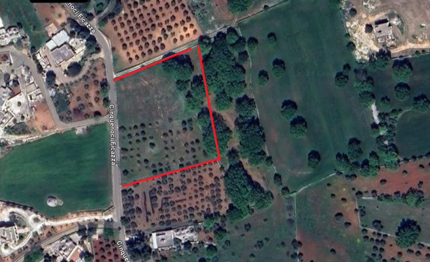 12700m² Land in Locorotondo, Italy No. 75695