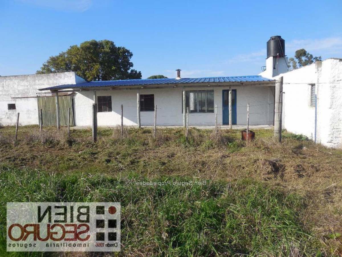 Estúdio em Canelones, Uruguay N.º 5127