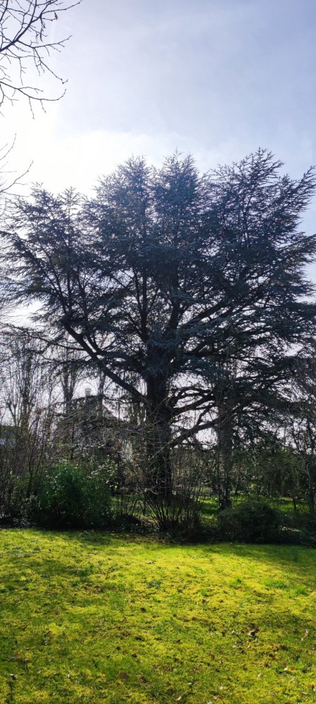 6 bedrooms Castles in Dourdan, France No. 187038