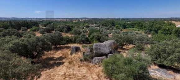 Grundstück in Montemor o Novo, Portugal, Nr. 258778 35