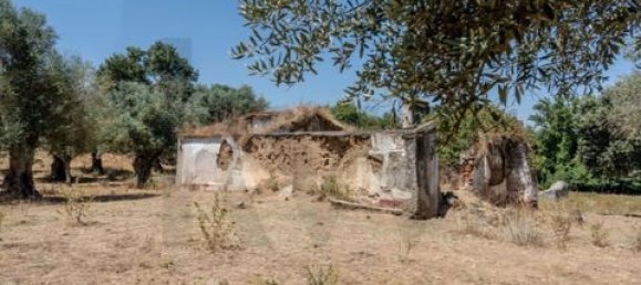 Grundstück in Montemor o Novo, Portugal, Nr. 258778 38