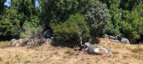 Grundstück in Montemor o Novo, Portugal, Nr. 258778 25