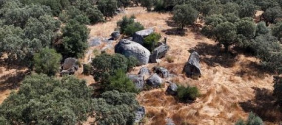 Grundstück in Montemor o Novo, Portugal, Nr. 258778 14