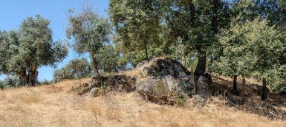 Grundstück in Montemor o Novo, Portugal, Nr. 258778 22