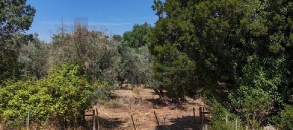 Grundstück in Montemor o Novo, Portugal, Nr. 258778 36