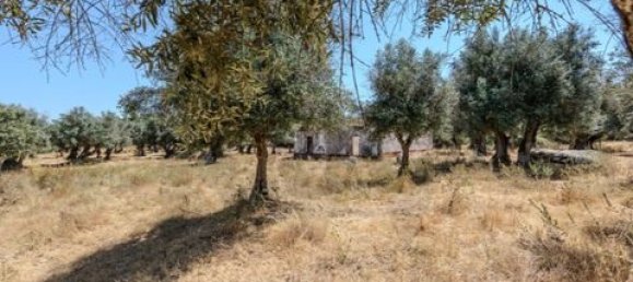 Grundstück in Montemor o Novo, Portugal, Nr. 258778 19