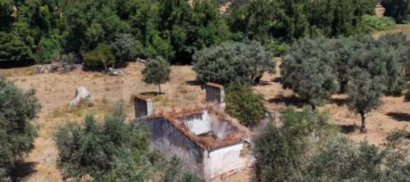 Grundstück in Montemor o Novo, Portugal, Nr. 258778 8