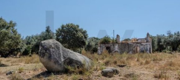 Grundstück in Montemor o Novo, Portugal, Nr. 258778 47