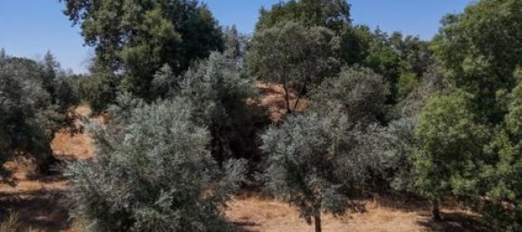 Grundstück in Montemor o Novo, Portugal, Nr. 258778 32