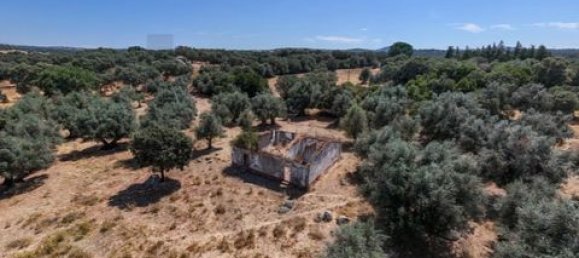 Grundstück in Montemor o Novo, Portugal, Nr. 258778 21