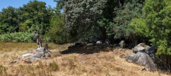 Grundstück in Montemor o Novo, Portugal, Nr. 258778 33