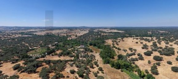 Grundstück in Montemor o Novo, Portugal, Nr. 258778 27