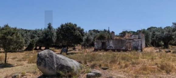 Grundstück in Montemor o Novo, Portugal, Nr. 258778 24