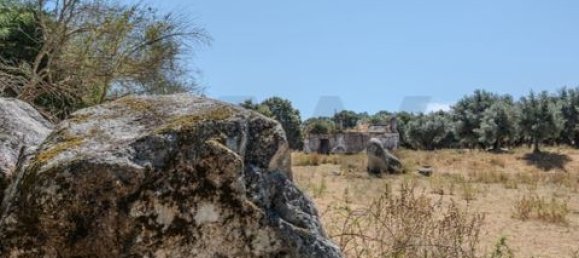 Grundstück in Montemor o Novo, Portugal, Nr. 258778 16