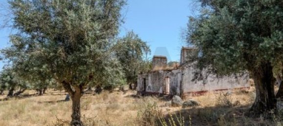 Grundstück in Montemor o Novo, Portugal, Nr. 258778 13