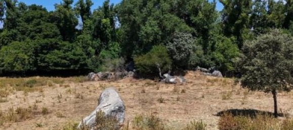 Grundstück in Montemor o Novo, Portugal, Nr. 258778 31