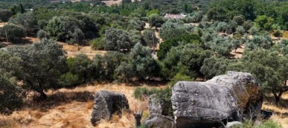 Grundstück in Montemor o Novo, Portugal, Nr. 258778 2