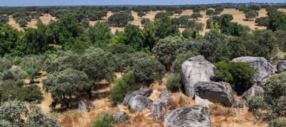 Grundstück in Montemor o Novo, Portugal, Nr. 258778 15