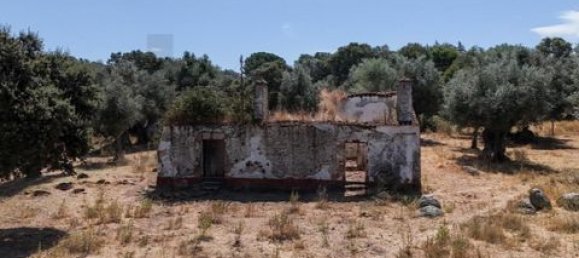 Grundstück in Montemor o Novo, Portugal, Nr. 258778 11