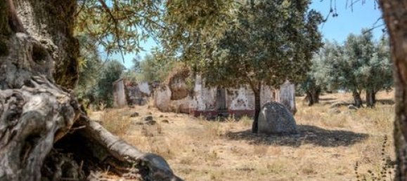 Grundstück in Montemor o Novo, Portugal, Nr. 258778 48