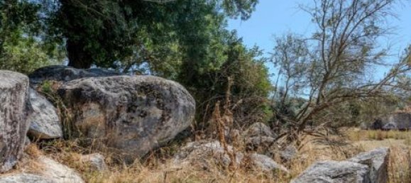 Grundstück in Montemor o Novo, Portugal, Nr. 258778 18