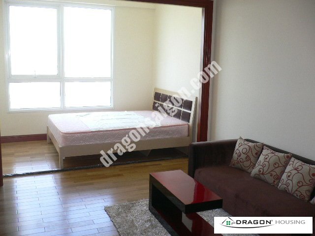 38m² Apartment in Binh Thanh, Vietnam No. 11156