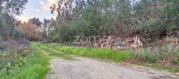 4040m² Land in Aveiro, Portugal No. 85277 10