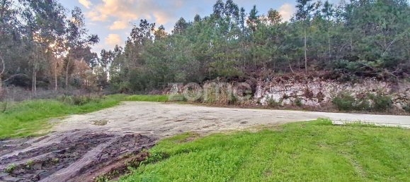 4040m² Land in Aveiro, Portugal No. 85277 9