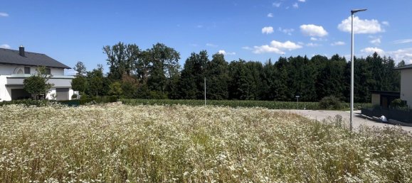 Terreno em Pucking, Austria N.º 126677 3