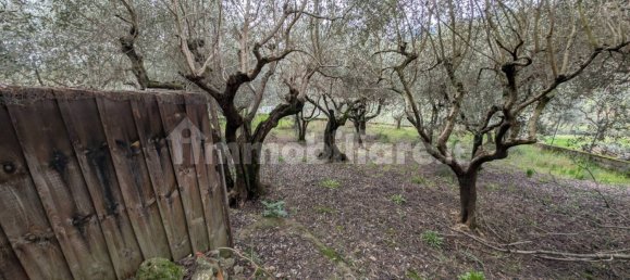 4 غرف نوم فيلا في Quarrata, Italy رقم 46003 9