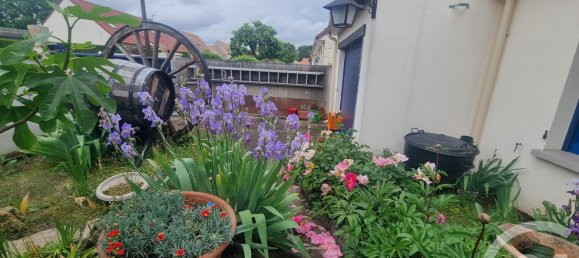 4 chambres Maison à Fleury-les-Aubrais, France No. 65618 16