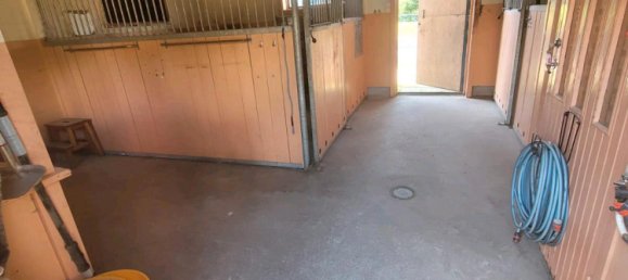 2 Schlafzimmer Bauernhof in Freyung-Grafenau, Germany, Nr. 294053 4