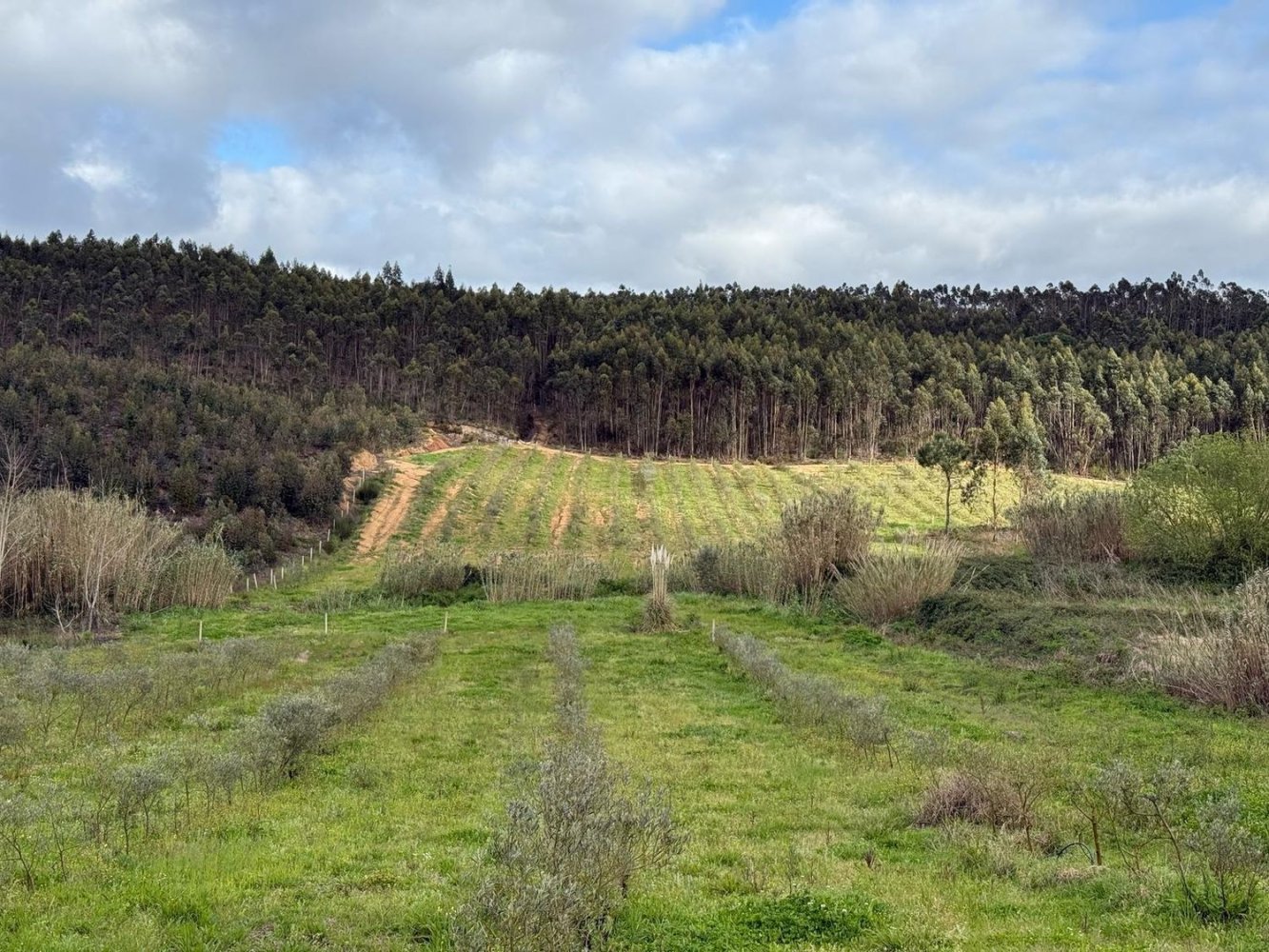 Land in Torres Vedras, Portugal No. 309130