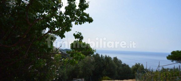 1 غرف نوم منزل في Marciana, Italy رقم 352849 46