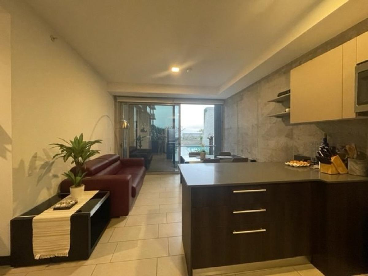 Apartamento com 2 quartos em condomínio em San Jose, Costa Rica N.º 1103