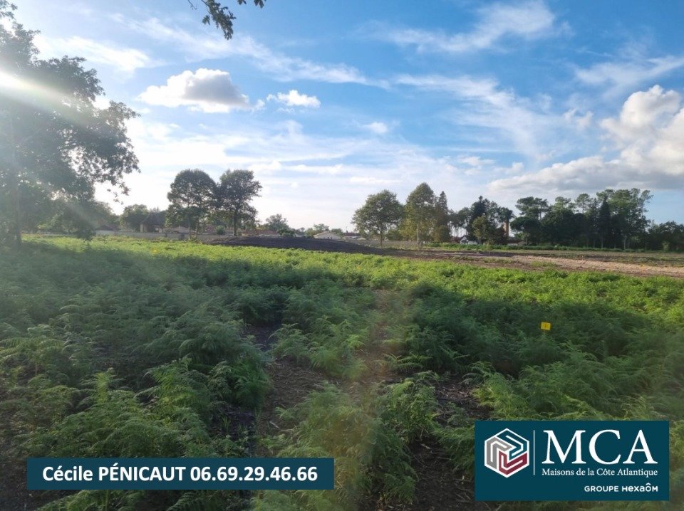  Land in Laluque, France No. 122286