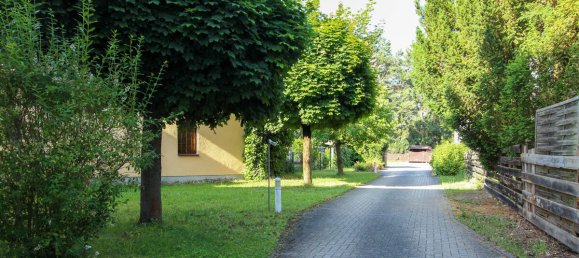 2-Zimmer Wohnung in Dresden, Germany, Nr. 238411 3