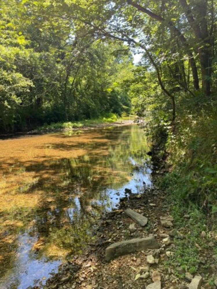 Земельный участок в Спрингфилд, США № 476069