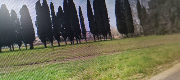 6 rooms Apartment in Cascina, Italy No. 37829 10