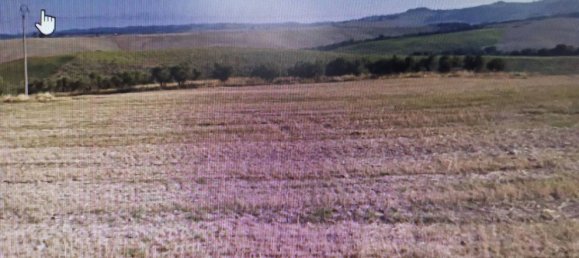 6 rooms Apartment in Cascina, Italy No. 37829 8